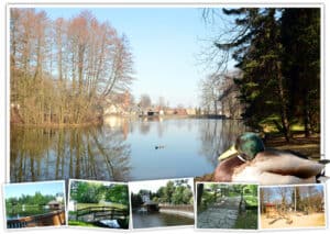 680595972-walkteich_collage