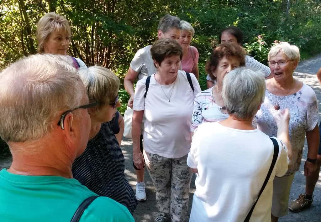 Gruppe von Senioren unterhalten sich